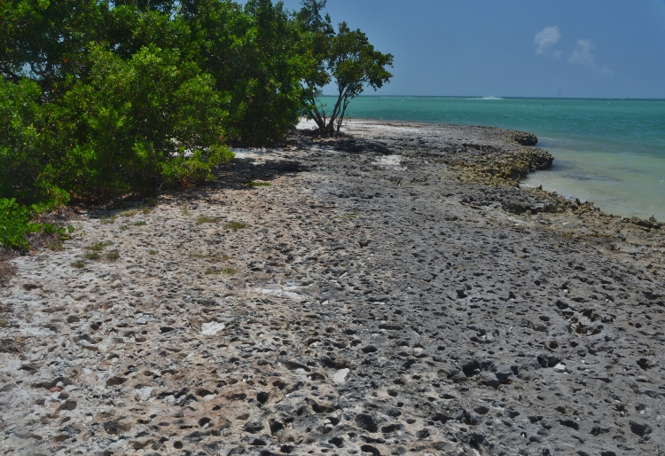 Sombrero Beach